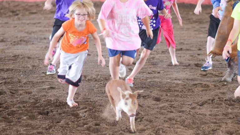 Home - Bill Rice Ranch Day Camp