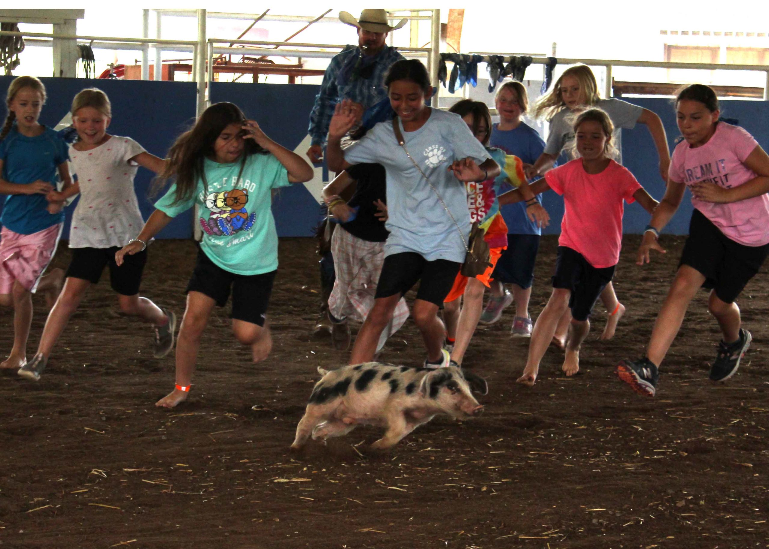 Awana Bill Rice Ranch Junior Camp - Bill Rice Ranch