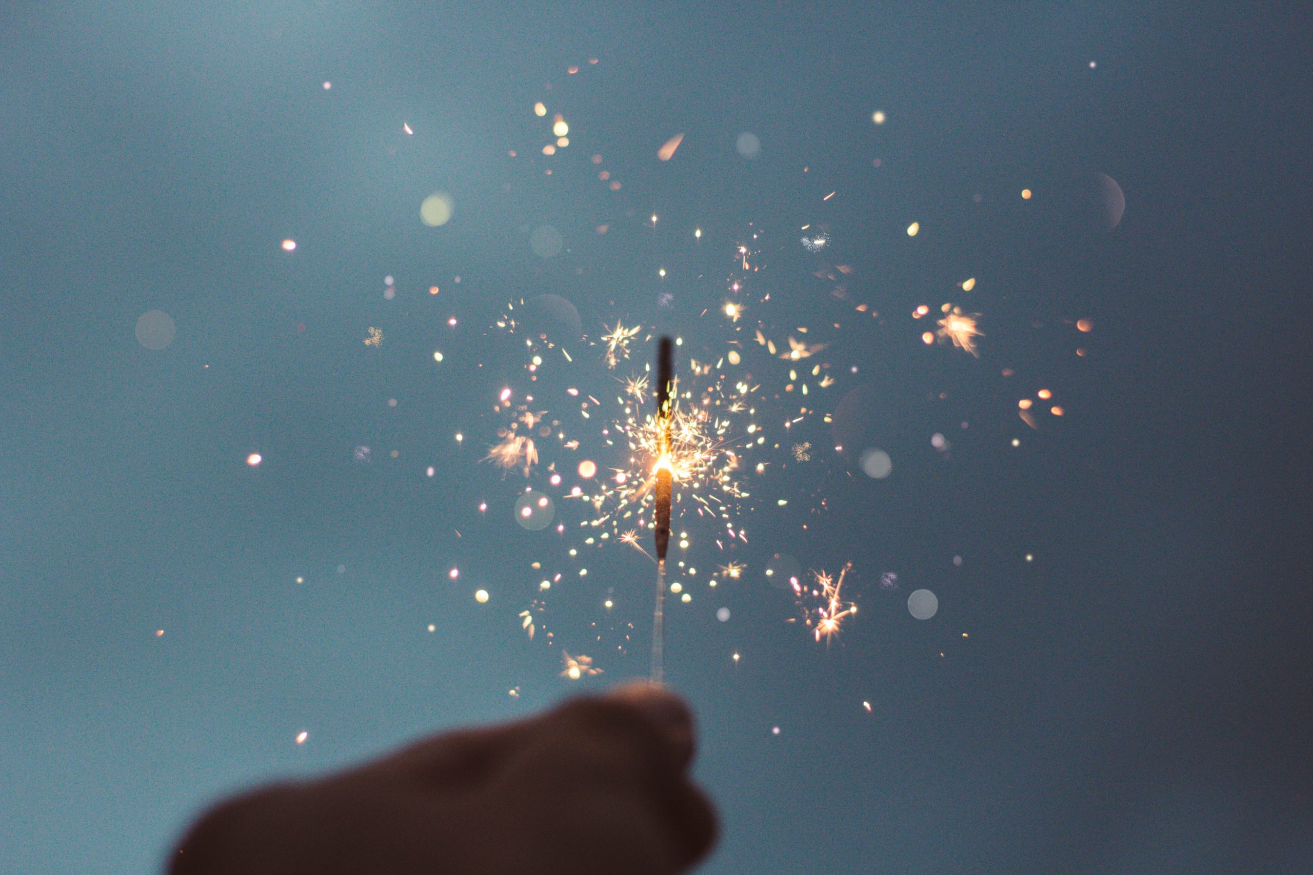 What Do We Need in the New Year?