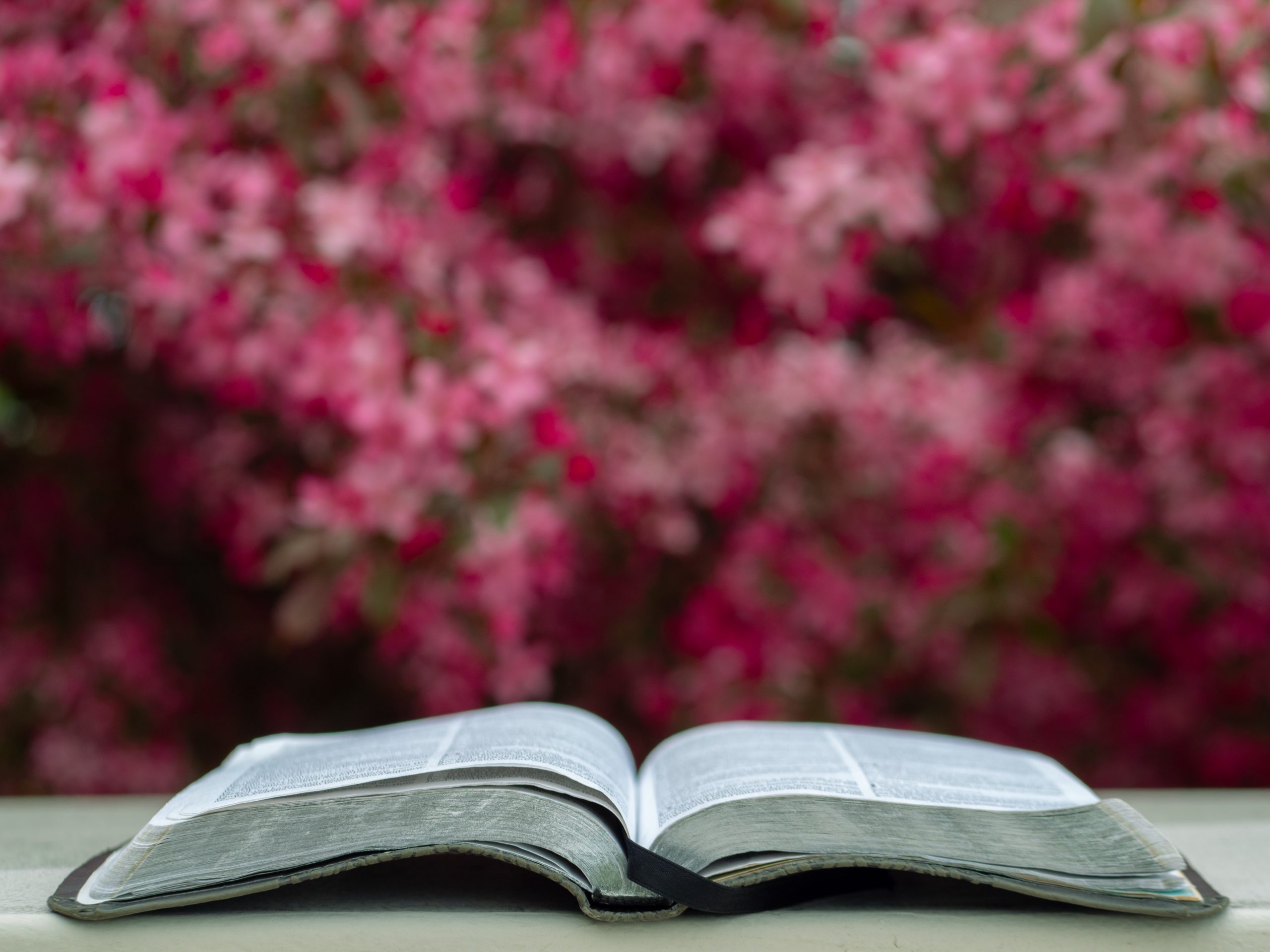 The Power of Focus, Part Two: Worry or Worship?