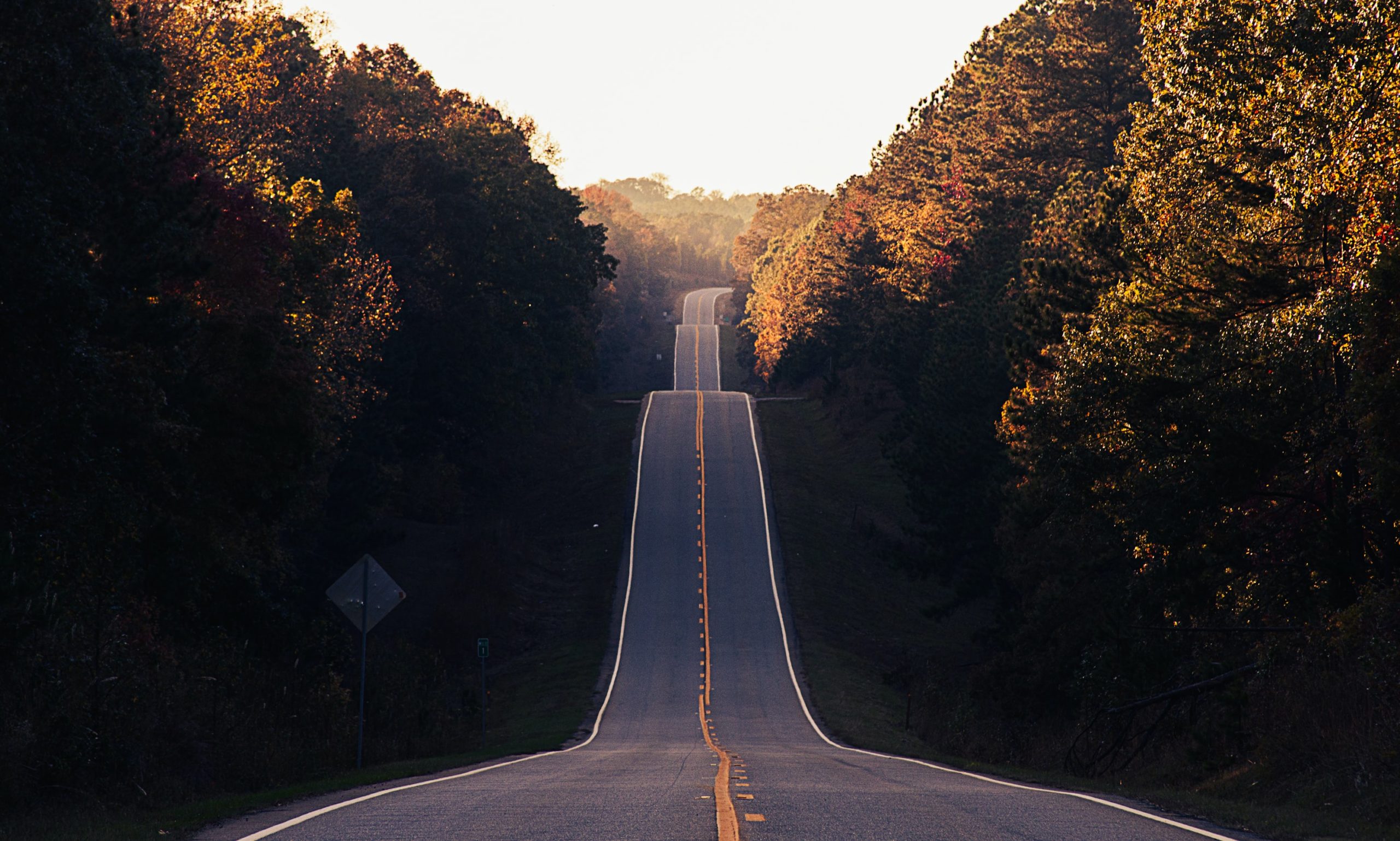 What Drives Your Life? Lessons from Ruth Part 2