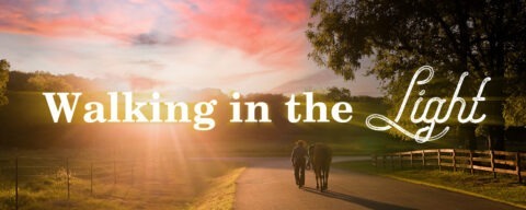 Home - Bill Rice Ranch